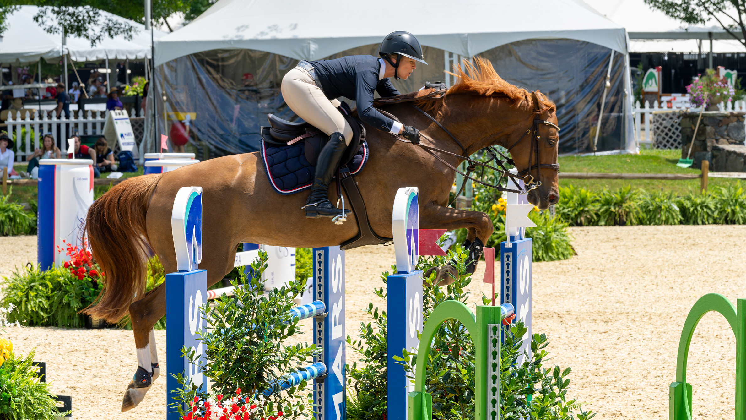Tryon Spring 6